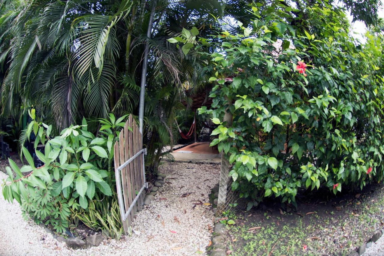 Disfrutalo Hotel Playa Santa Teresa  Eksteriør billede